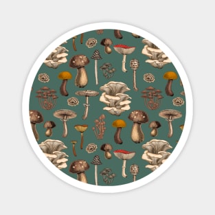 Wild Mushrooms  on pine green Magnet